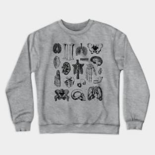 Human Anatomy Crewneck Sweatshirt